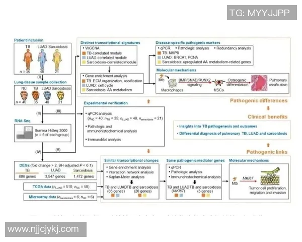 NBA球队替补席深度与战术灵活性分析探讨及其对比赛走势的影响